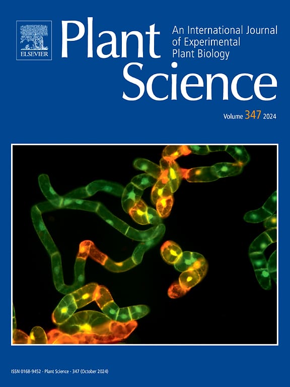 Superhydrophobicity mechanism of refoliated quaking aspen leaves after complete defoliation by LDD (gypsy, spongy) moth caterpillars