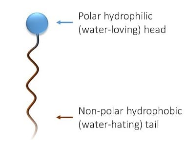 Surfactants