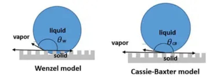 Wenzel & cassie baxter model image