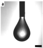 3 wt% FBA copolymer; 0.08 M HEPES; 2 wt% PVA. Scale bar 500 µm.