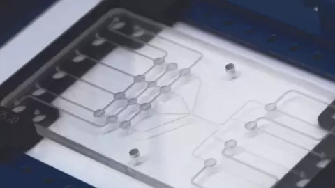 Polymer_microfluidic_device