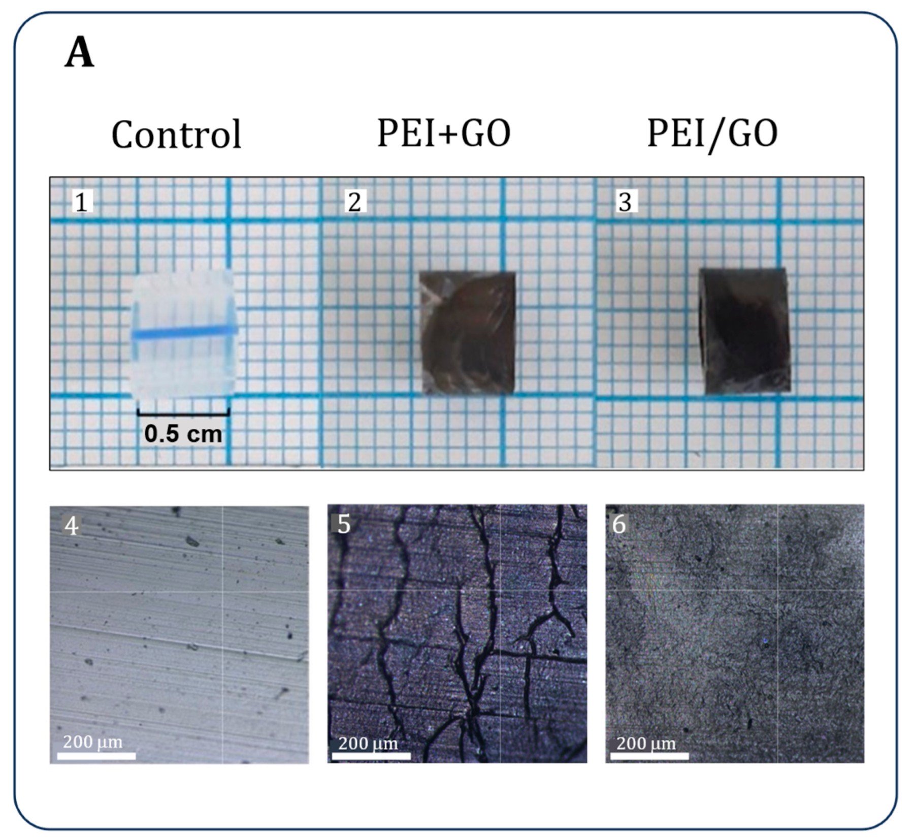 Uncoated and graphene oxide coated silicone urinary catheter segments, with optical microscopy of each surface (de América et al. 2026, Fig. 3A, cropped, CC BY 4.0)